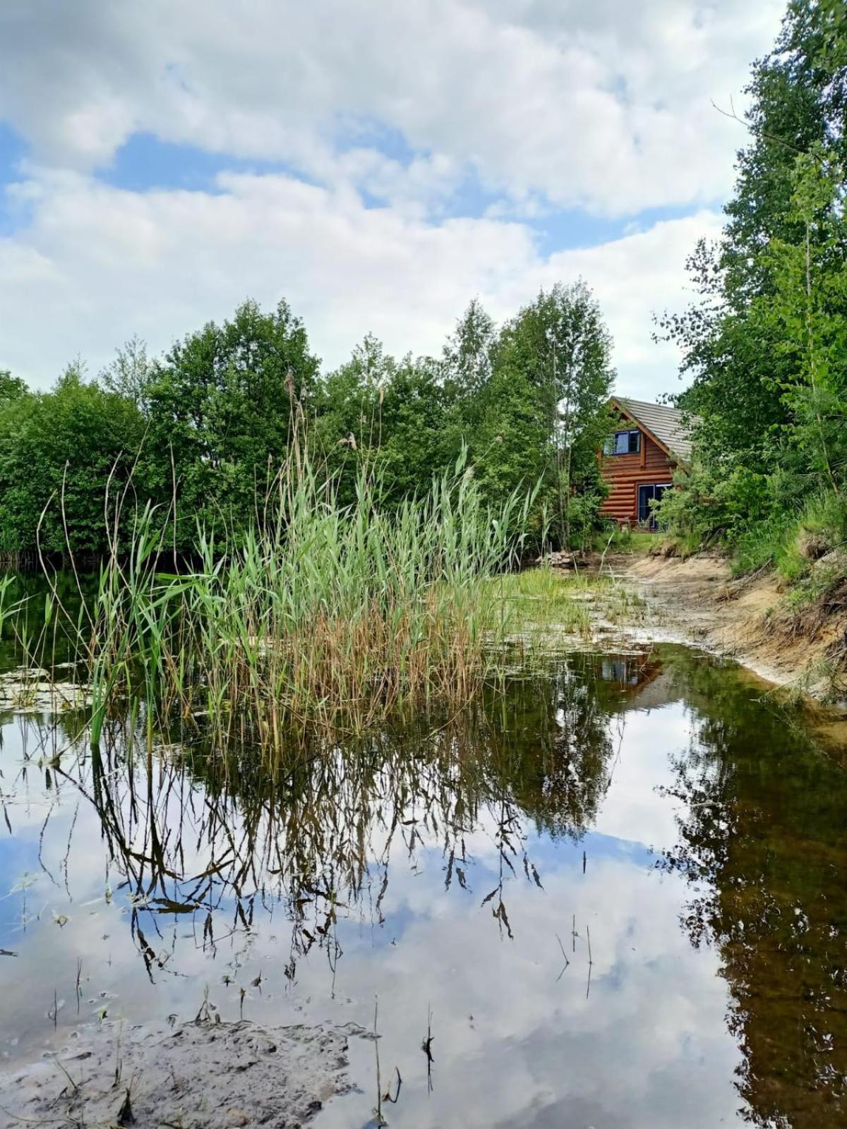 Unieke Houten Villa Met Sauna In Twente - 6P Den Ham Bagian luar foto